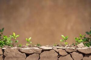 Seedlings sprout from cracked earth against a brown backdrop, representing hope photo