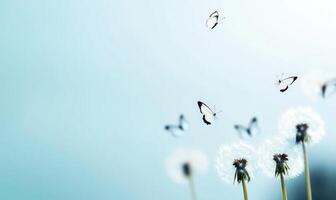 Dandelions releasing seeds, which transform into butterflies, against blue photo