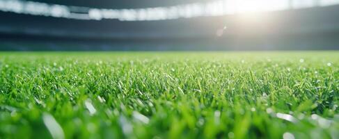 Close up grass in stadium, sun glare, for sports or environmental projects photo