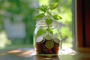 Plant growing in jar of coins on table by window, symbolizing financial growth photo