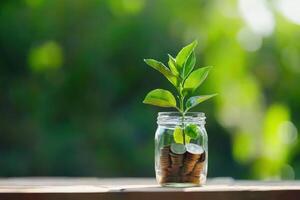 Plant growing in jar of coins on wood, green background, investment concept photo