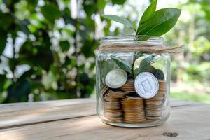 Plant growing in jar with coins on wooden table, nature background, investment concept photo