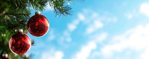Red ornaments hanging on a Christmas tree against a blue sky background, ideal for holiday cards photo