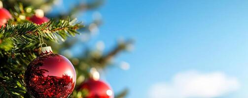 Red ornaments on a Christmas tree against a blue sky background photo