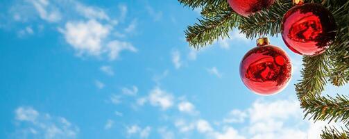 Red ornaments hanging from Christmas tree against blue sky photo