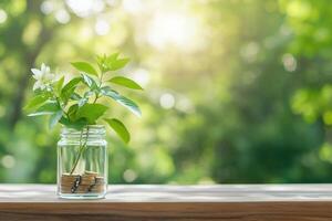 Plant growing in jar with coins on wooden table, nature background photo