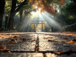 Sunlit Path to Torii Gate in Autumn Park photo