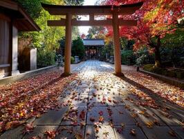 Autumn leaves at Japanese shrine entrance with colorful foliage photo