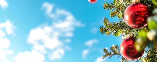 Red ornaments on Christmas tree against blue sky, holiday banner photo
