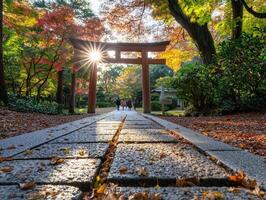 Autumn sunlight through torii gate, park path, visitors photo