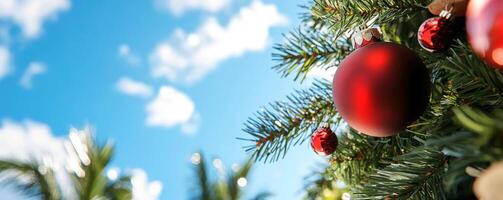 Christmas tree with ornaments under blue sky and palm trees, holiday travel photo