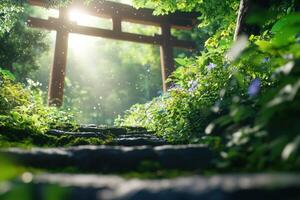 Sunlit path to torii gate in lush garden, spiritual journey photo