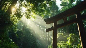 Sunbeams through forest illuminating wooden torii gate, spiritual serenity photo