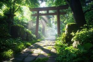 Sunlit path through Japanese garden with torii gate at sunrise photo