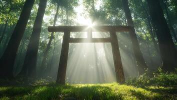 Sunlit Wooden Torii Gate in Misty Forest photo