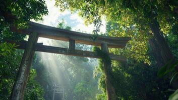 Sunbeams through ancient wooden torii gate in serene forest photo