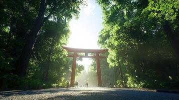 Sunlit path to torii gate in serene forest photo