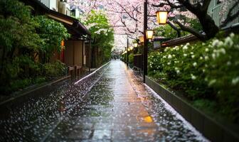 Cherry blossom petals on a wet path in a traditional Japanese town photo
