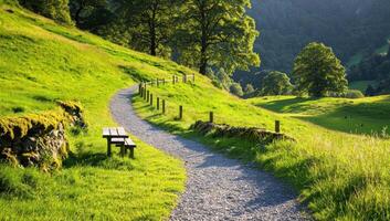 Winding path through sunlit green valley with bench, ideal for travel brochures photo