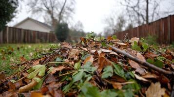 Pile of fall leaves and twigs in backyard, ready for composting or yard work photo