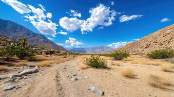 Desert trail through canyon with mountains, clouds, and dry vegetation photo