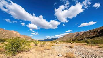 Desert valley with mountains, clouds, and cacti under blue sky photo