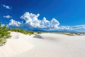 White sand dunes, shrubs, mountains, cloudy sky photo