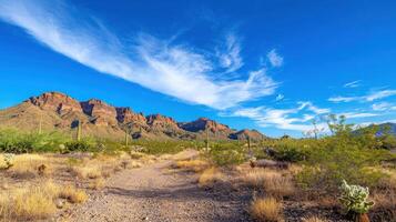 Desert trail with cacti, mountains, and clouds photo