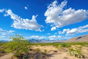 Desert landscape with mountains, clouds, and shrubs under blue sky photo