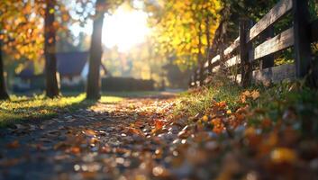 Path in autumn with leaves and fence, sun shining through trees, house in background photo