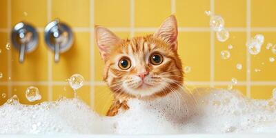 Tabby cat bathing in tub with yellow tile and bubbles. Cleaning. Funny photo