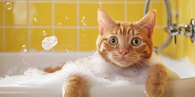 Orange cat bathing in bathtub, bubbles. Yellow tiled wall in background photo