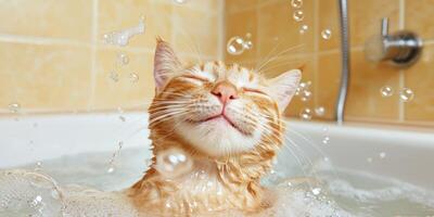 Joyful cat bathes in bubbles, tile background, showing relaxation, hygiene photo