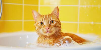 Wet ginger cat relaxing in bubbly bath with yellow tiles, for grooming article photo