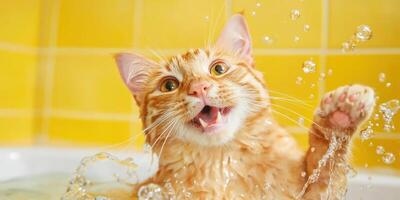 Bathing Cat with Bubbles on Tile Background, for pet hygiene or funny ads photo