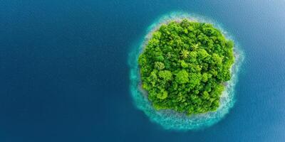 Small island with dense forest stands in the clear ocean waters around it photo