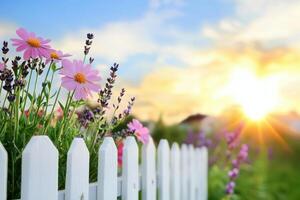 Flowers bloom near fence, backyard at sunset. Home sale, summer growth concept photo