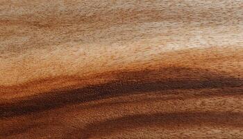 wooden texture or background photo
