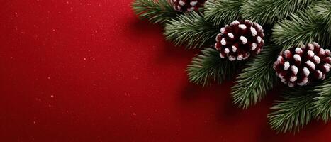 Christmas holiday and Pine cone background. copy space photo