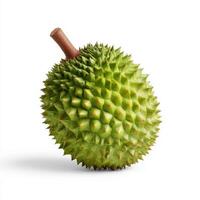 Durian fruit isolated on white background photo