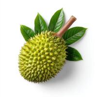 Durian fruit and leaf isolated on white background photo