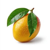 Ripe Mango with green leaf isolated on white background photo
