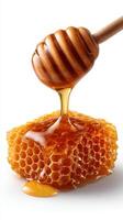 honey dripping into honeycomb isolated on white background. photo