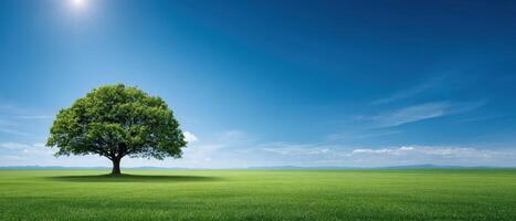 Lone tree in expansive green field under bright blue sky nature photography serene environment photo