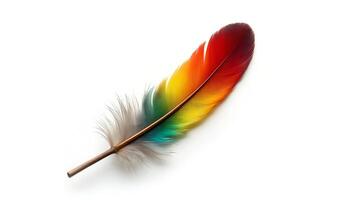 Elegant feather displaying a spectrum of vibrant colors on a white backdrop photo