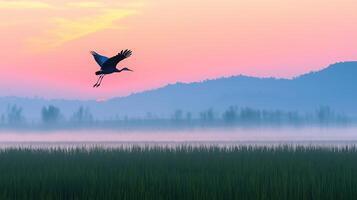 Cranes take flight over a serene wetland at dawn, surrounded by misty hills and sunrise colors. photo