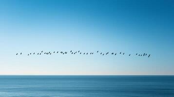 A group of birds is flying gracefully in a line above the serene ocean waves on a clear day. photo