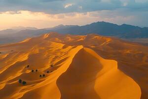 Golden Desert Dunes at Sunset with Mountains in the Distance photo