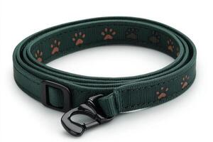 A green dog leash with paw prints on it photo
