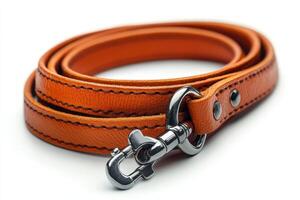 A close up of a leather leash with a metal clasp photo